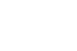 NVK_v1_white_600xN